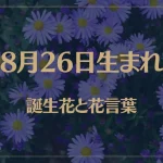 8月26日の誕生花と花言葉がコレ！性格や恋愛・仕事などの誕生日占いもご紹介！