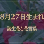 8月27日の誕生花と花言葉がコレ！性格や恋愛・仕事などの誕生日占いもご紹介！