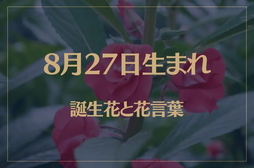 8月27日の誕生花と花言葉がコレ！性格や恋愛・仕事などの誕生日占いもご紹介！