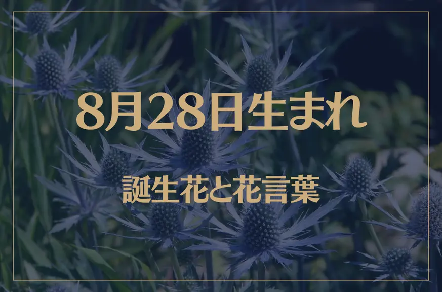 8月28日の誕生花と花言葉がコレ！性格や恋愛・仕事などの誕生日占いもご紹介！