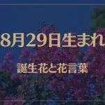 8月29日の誕生花と花言葉がコレ！性格や恋愛・仕事などの誕生日占いもご紹介！