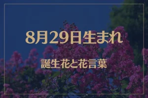 8月28日の誕生花と花言葉がコレ！性格や恋愛・仕事などの誕生日
