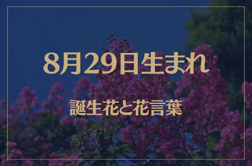 8月29日の誕生花と花言葉がコレ！性格や恋愛・仕事などの誕生日占いもご紹介！