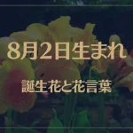 8月2日の誕生花と花言葉がコレ！性格や恋愛・仕事などの誕生日占いもご紹介！