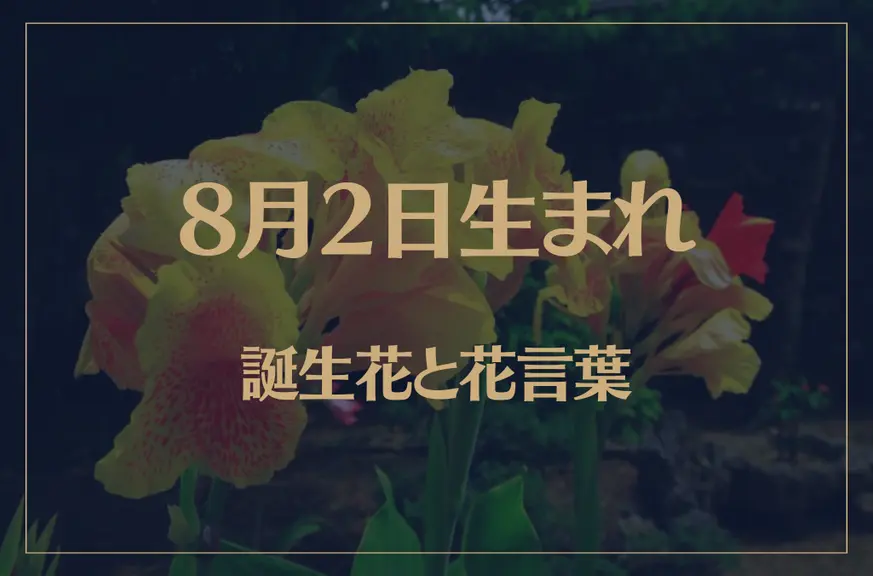 8月2日の誕生花と花言葉がコレ！性格や恋愛・仕事などの誕生日占いもご紹介！