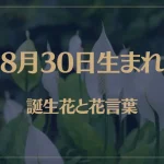 8月30日の誕生花と花言葉がコレ！性格や恋愛・仕事などの誕生日占いもご紹介！