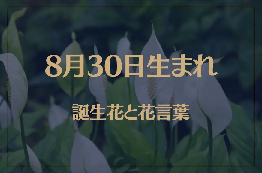 8月30日の誕生花と花言葉がコレ！性格や恋愛・仕事などの誕生日占いもご紹介！