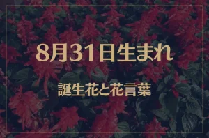 8月31日の誕生花と花言葉がコレ!性格や恋愛・仕事などの誕生日占いもご紹介!