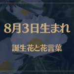 8月3日の誕生花と花言葉がコレ！性格や恋愛・仕事などの誕生日占いもご紹介！