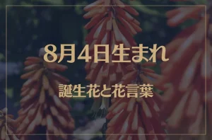 8月4日の誕生花と花言葉がコレ!性格や恋愛・仕事などの誕生日占いもご紹介!