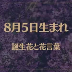 8月5日の誕生花と花言葉がコレ！性格や恋愛・仕事などの誕生日占いもご紹介！