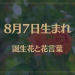 8月7日の誕生花と花言葉がコレ！性格や恋愛・仕事などの誕生日占いもご紹介！