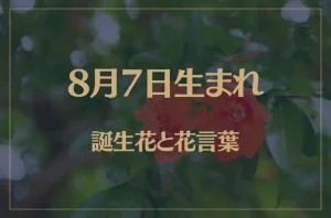 8月7日の誕生花と花言葉がコレ！性格や恋愛・仕事などの誕生日占いもご紹介！
