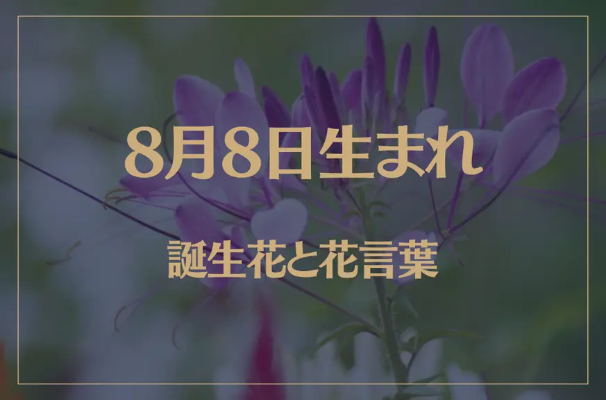 8月8日の誕生花と花言葉がコレ！性格や恋愛・仕事などの誕生日占いもご紹介！