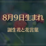 8月9日の誕生花と花言葉がコレ！性格や恋愛・仕事などの誕生日占いもご紹介！