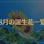 【8月の誕生花一覧】8月の誕生花・花言葉をご紹介！