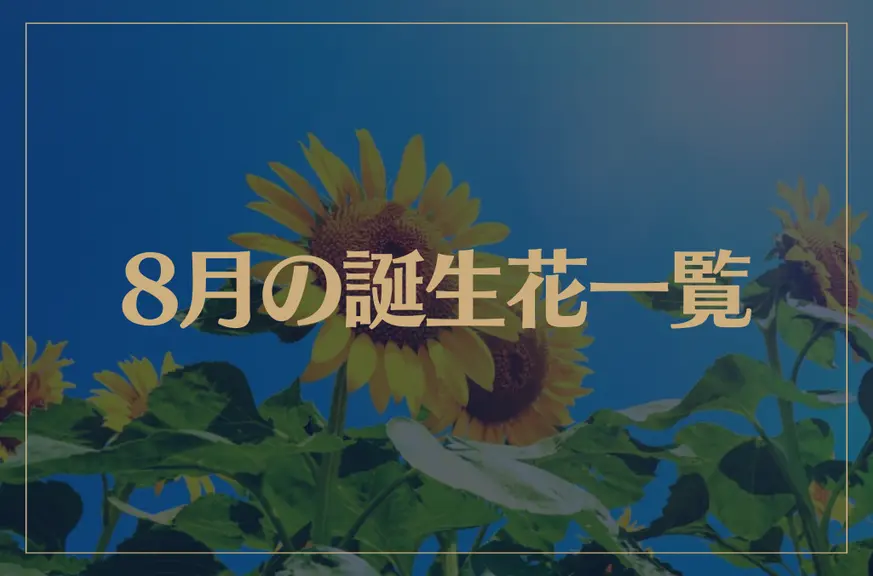 【8月の誕生花一覧】8月の誕生花・花言葉をご紹介！