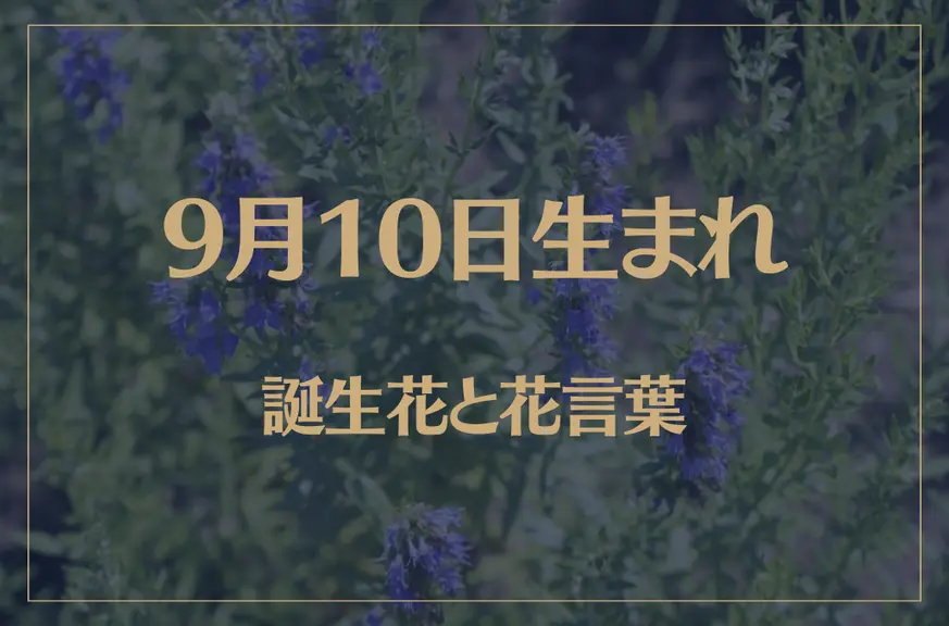 9月10日の誕生花と花言葉がコレ！性格や恋愛・仕事などの誕生日占いもご紹介！