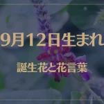 9月12日の誕生花と花言葉がコレ！性格や恋愛・仕事などの誕生日占いもご紹介！