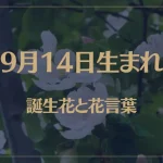 9月14日の誕生花と花言葉がコレ！性格や恋愛・仕事などの誕生日占いもご紹介！