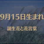 9月15日の誕生花と花言葉がコレ！性格や恋愛・仕事などの誕生日占いもご紹介！