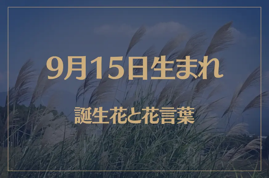 9月15日の誕生花と花言葉がコレ！性格や恋愛・仕事などの誕生日占いもご紹介！