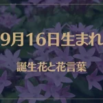 9月16日の誕生花と花言葉がコレ！性格や恋愛・仕事などの誕生日占いもご紹介！