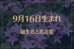 9月16日の誕生花と花言葉がコレ！性格や恋愛・仕事などの誕生日占いもご紹介！
