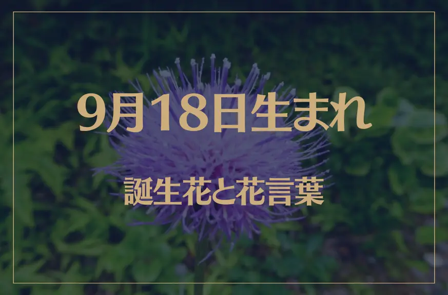 9月18日の誕生花と花言葉がコレ！性格や恋愛・仕事などの誕生日占いもご紹介！