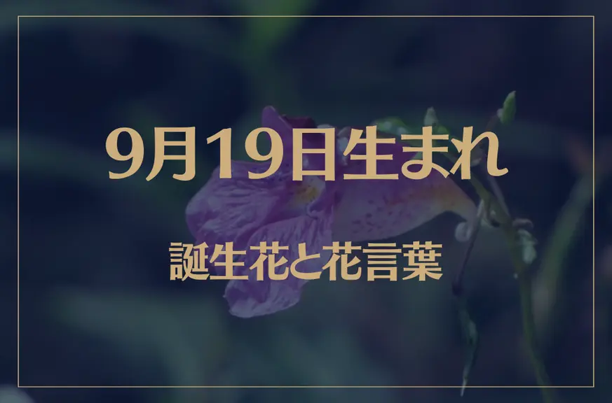 9月19日の誕生花と花言葉がコレ！性格や恋愛・仕事などの誕生日占いもご紹介！