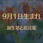 9月1日の誕生花と花言葉がコレ！性格や恋愛・仕事などの誕生日占いもご紹介！