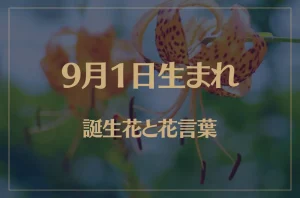 9月1日の誕生花と花言葉がコレ！性格や恋愛・仕事などの誕生日占いもご紹介！