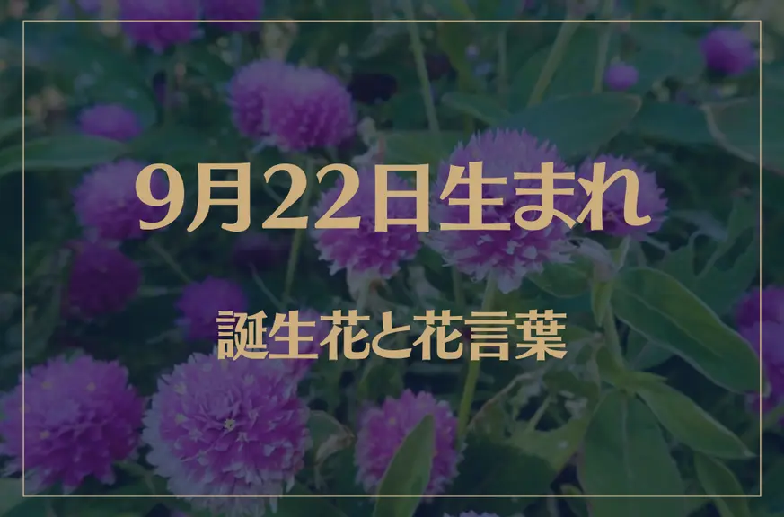 9月22日の誕生花と花言葉がコレ！性格や恋愛・仕事などの誕生日占いもご紹介！