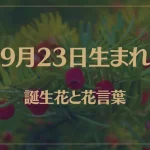 9月23日の誕生花と花言葉がコレ！性格や恋愛・仕事などの誕生日占いもご紹介！