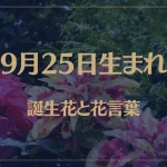 9月25日の誕生花と花言葉がコレ！性格や恋愛・仕事などの誕生日占いもご紹介！