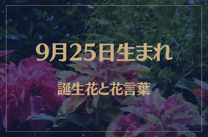 9月25日の誕生花と花言葉がコレ！性格や恋愛・仕事などの誕生日占いもご紹介！