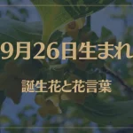 9月26日の誕生花と花言葉がコレ！性格や恋愛・仕事などの誕生日占いもご紹介！