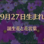9月27日の誕生花と花言葉がコレ！性格や恋愛・仕事などの誕生日占いもご紹介！