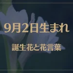 9月2日の誕生花と花言葉がコレ！性格や恋愛・仕事などの誕生日占いもご紹介！