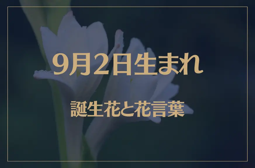 9月2日の誕生花と花言葉がコレ！性格や恋愛・仕事などの誕生日占いもご紹介！