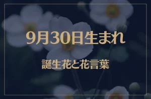 9月30日の誕生花と花言葉がコレ!性格や恋愛・仕事などの誕生日占いもご紹介!