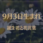 9月3日の誕生花と花言葉がコレ！性格や恋愛・仕事などの誕生日占いもご紹介！