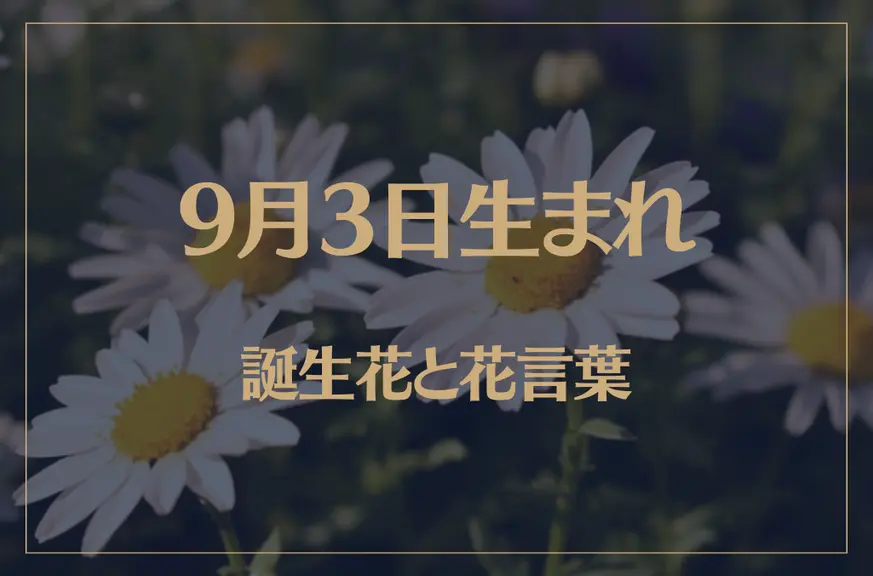 9月3日の誕生花と花言葉がコレ！性格や恋愛・仕事などの誕生日占いもご紹介！