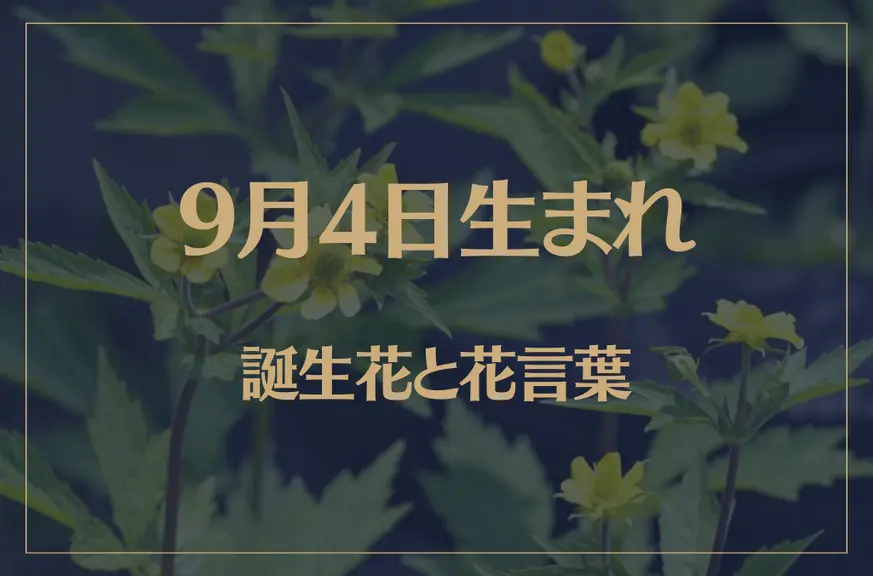 9月4日の誕生花と花言葉がコレ！性格や恋愛・仕事などの誕生日占いもご紹介！