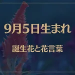 9月5日の誕生花と花言葉がコレ！性格や恋愛・仕事などの誕生日占いもご紹介！