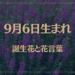 9月6日の誕生花と花言葉がコレ！性格や恋愛・仕事などの誕生日占いもご紹介！