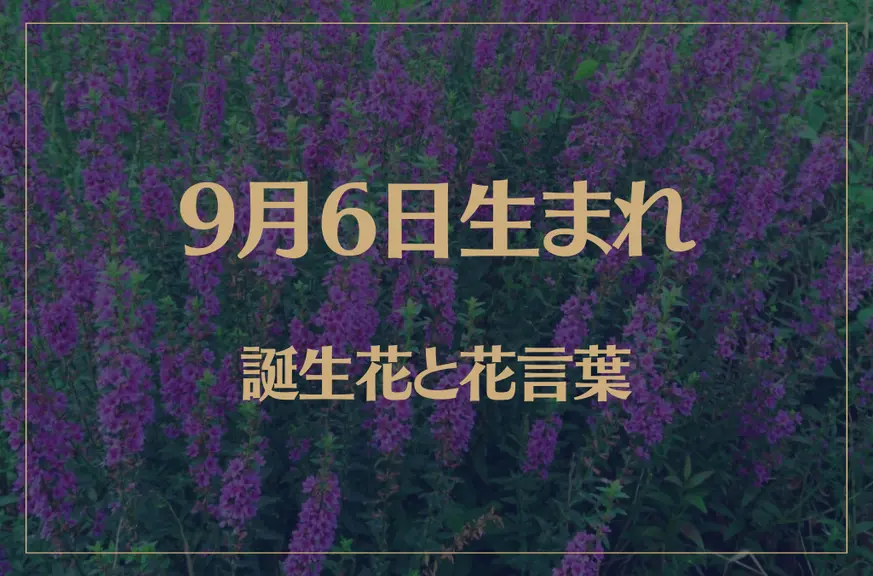 9月6日の誕生花と花言葉がコレ！性格や恋愛・仕事などの誕生日占いもご紹介！