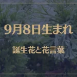 9月8日の誕生花と花言葉がコレ！性格や恋愛・仕事などの誕生日占いもご紹介！