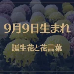 9月9日の誕生花と花言葉がコレ！性格や恋愛・仕事などの誕生日占いもご紹介！