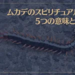 ムカデのスピリチュアルな5つの意味とは？ムカデは毘沙門天の使い？